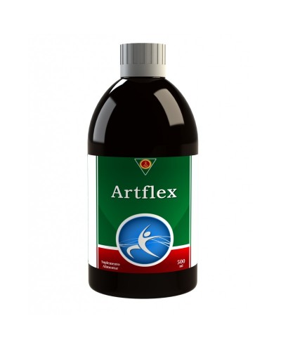 Artflex Forte Xarope - 500...