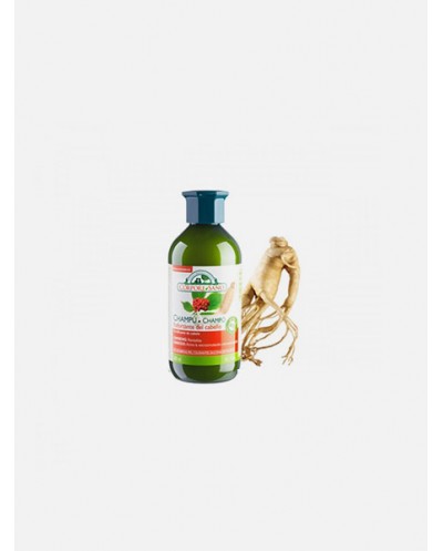 Shampoo Ginseng...