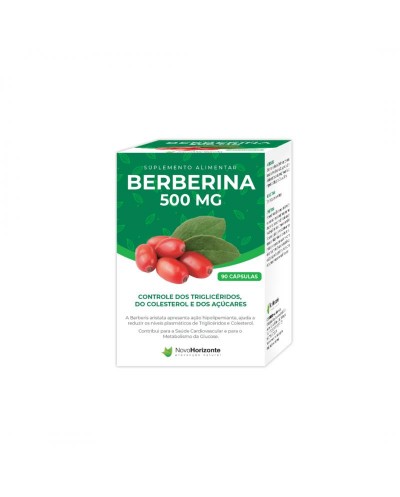 Berberina 500mg -90...