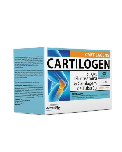 Cartilogen - 30 carteiras -...