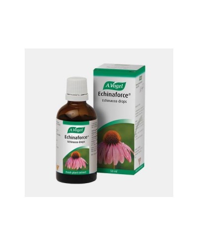 Echinaforce Gotas - 50 ml -...